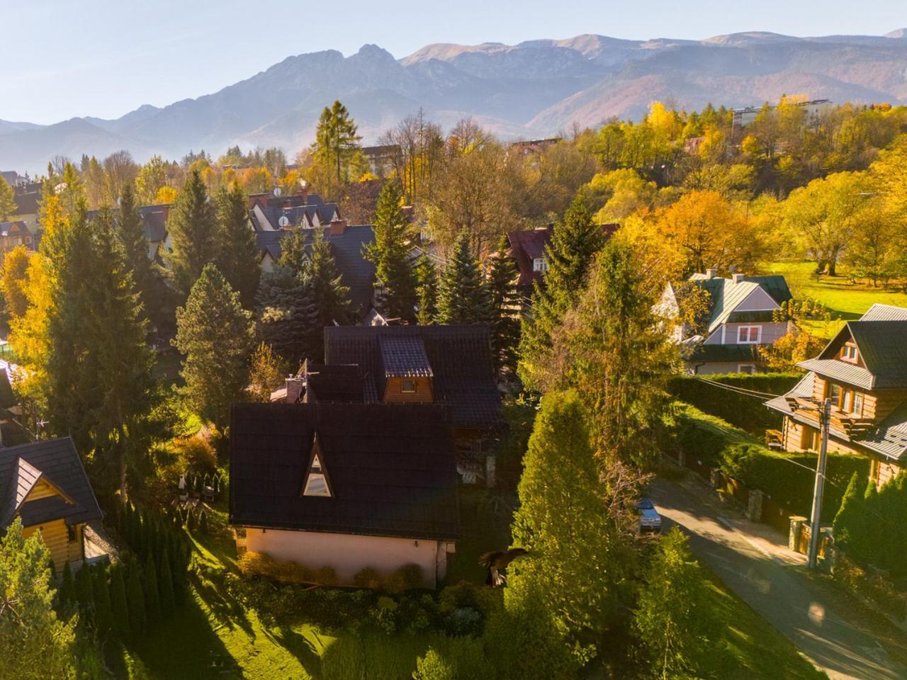 Domek Pod Strzecha Zakopane Buitenkant foto